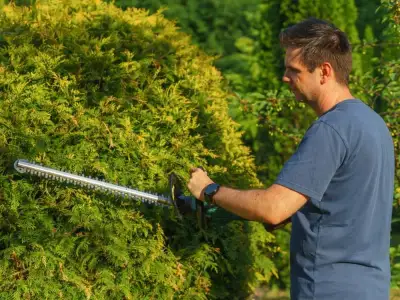 Greenscapers crew member shaping a hedge