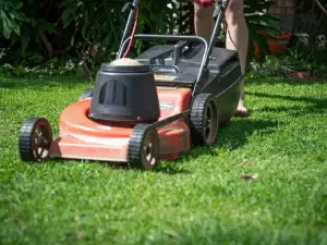 Lawn mower on a freshly cut lawn
