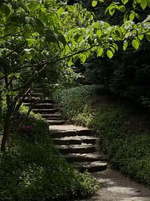 Natural stone steps climbing a planted slope