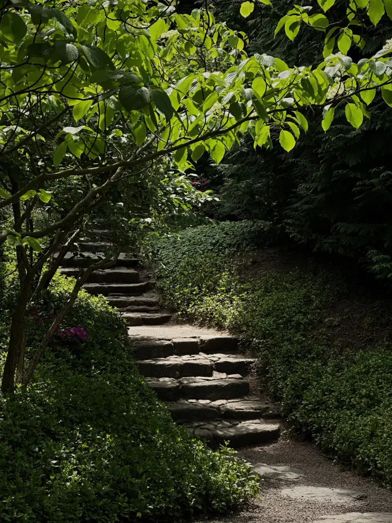 Natural stone steps climbing a planted slope
