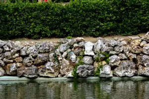 Stone retaining wall beside a garden pond and clipped hedge