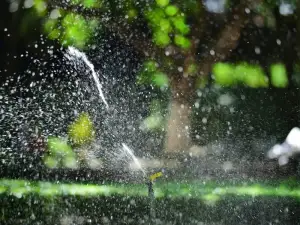 Sprinkler watering a green lawn